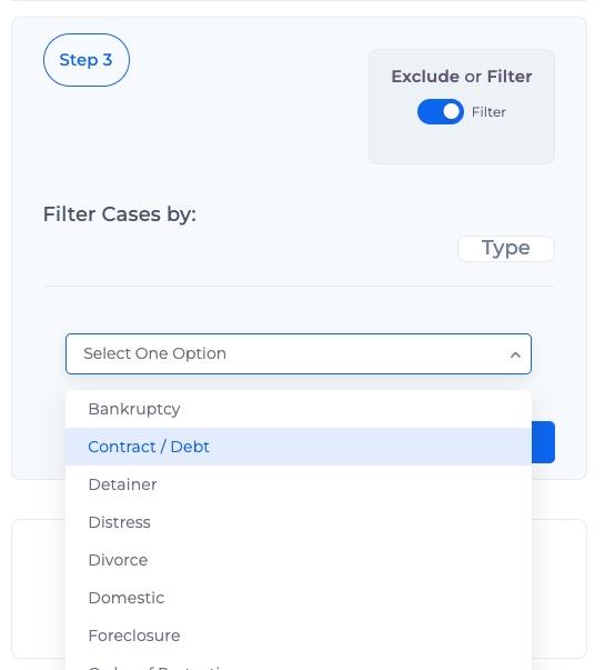 A screenshot of the third step in the search feature using a drop down for case type.